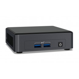 Intel NUC 11 Pro UCFF Zwart i51135G7