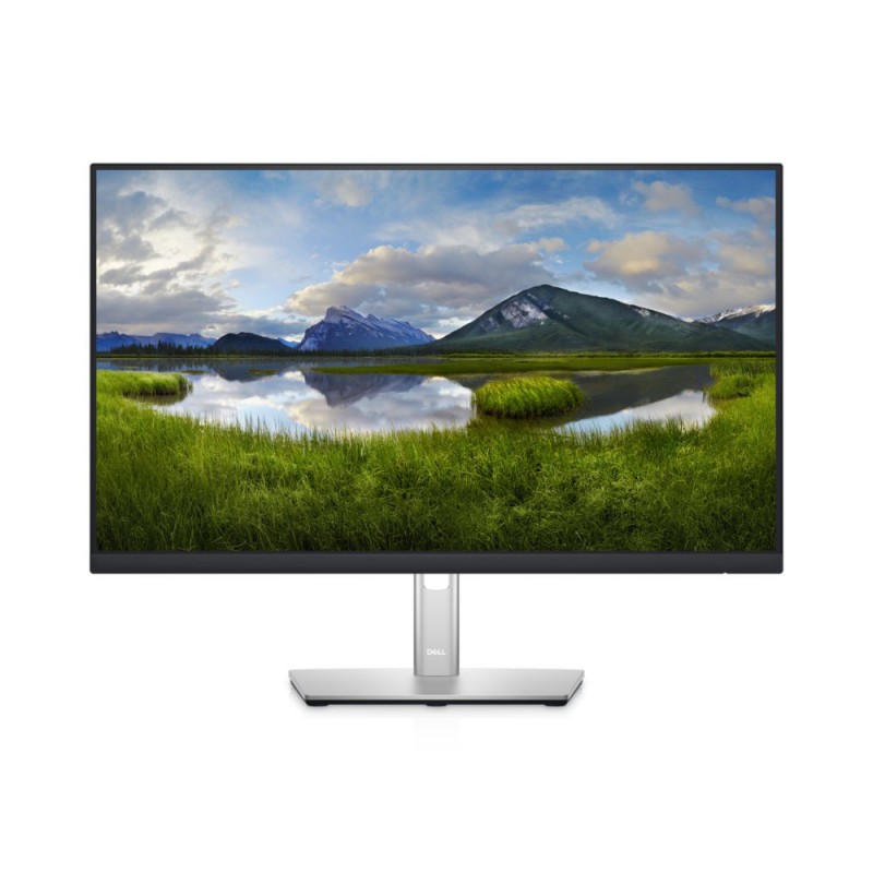 DELL P Series 24 USB-C-hubmonitor P2422HE