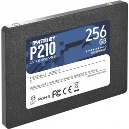 Patriot Memory P210 2.5 256 GB SATA III