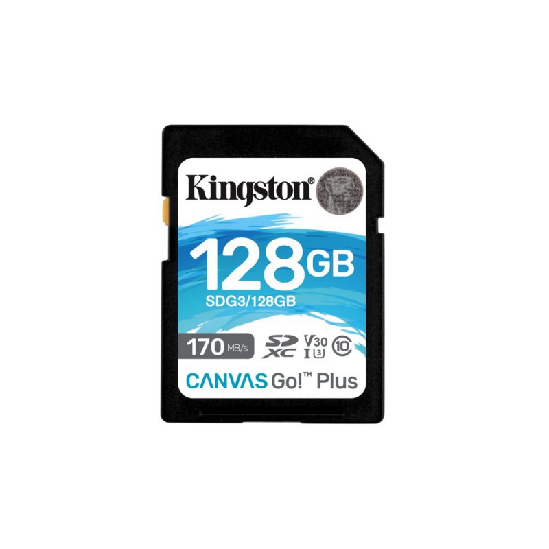 Kingston Technology Canvas Go Plus 128 GB SD UHS-I Klasse 10