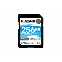 Kingston Technology Canvas Go Plus 256 GB SD UHS-I Klasse 10