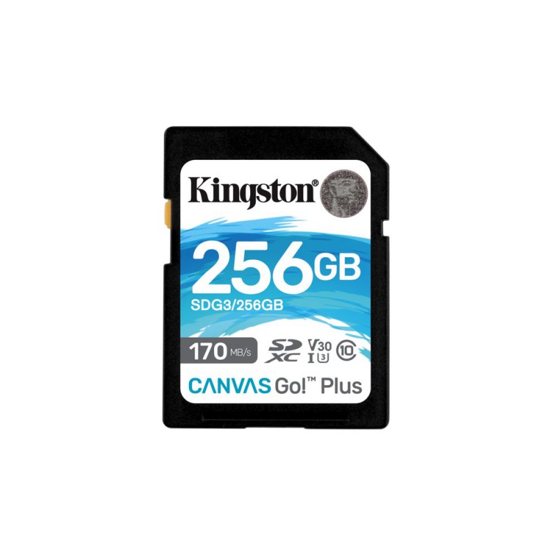 Kingston Technology Canvas Go Plus 256 GB SD UHS-I Klasse 10