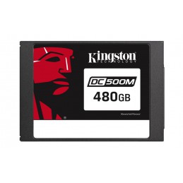 Kingston Technology DC500...