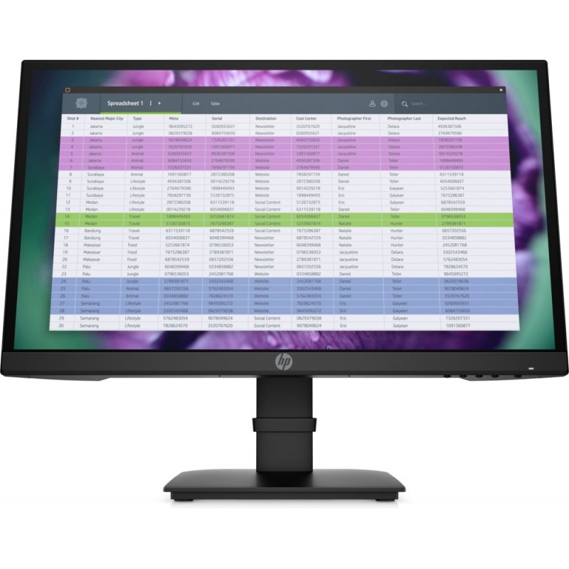 HP P22 G4 21.5  1920x1080 IPS  60Hz  Monitor