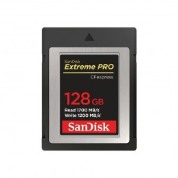 SanDisk SDCFE-128G-GN4NN...