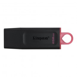 Kingston Technology...